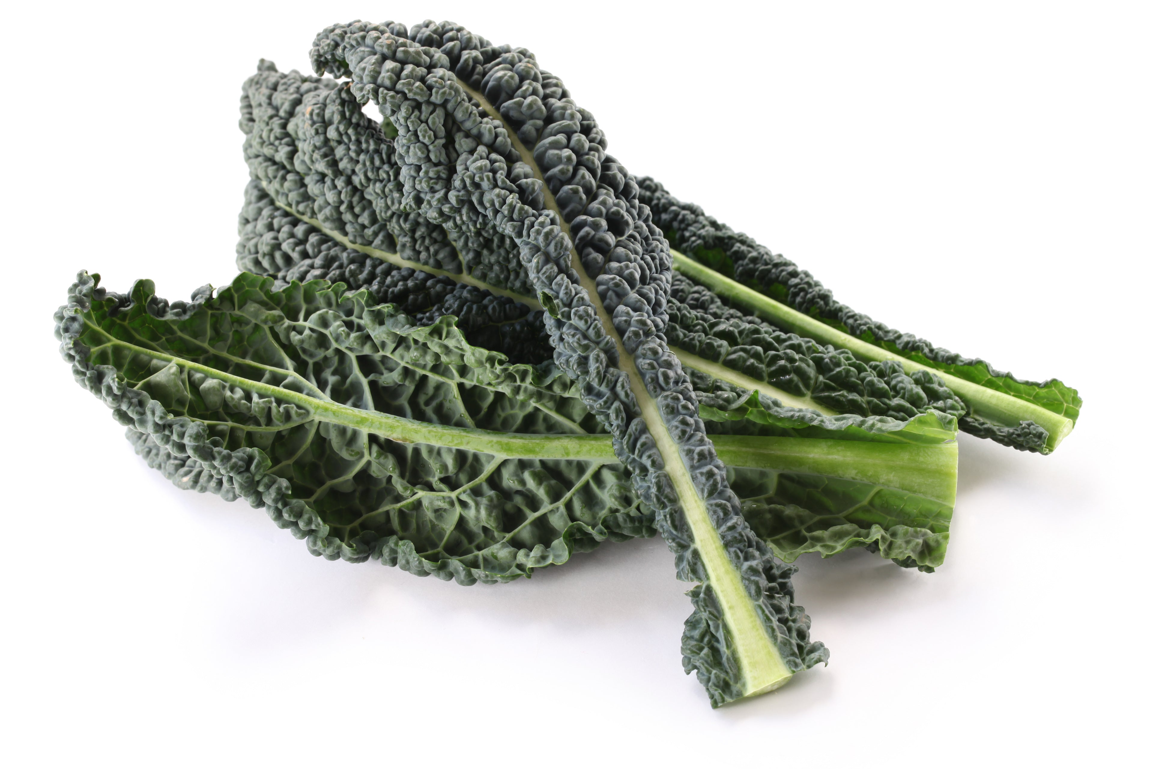 Kale (Berza) Toscano - Semillas Orgánicas ISLA